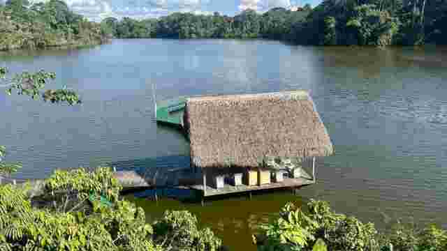 La Selva Ecolodge