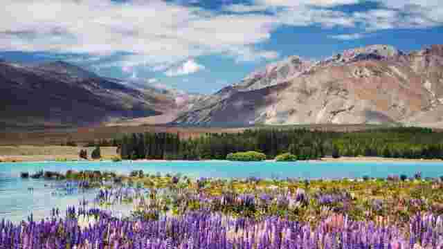 Lake Tekapo