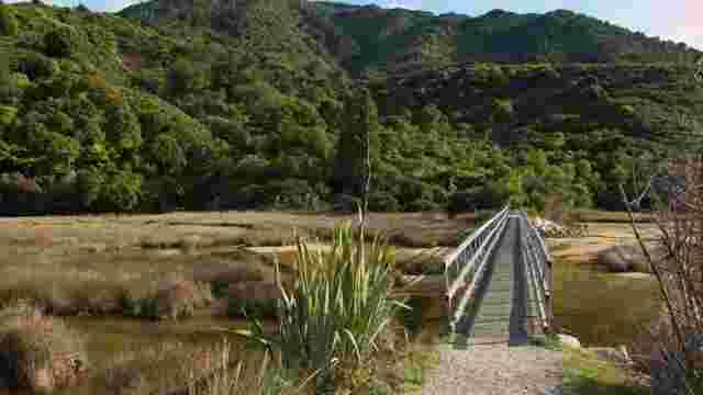 Tasman Lake Track