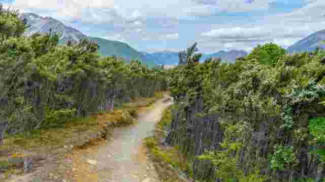 Bealey Spur Track