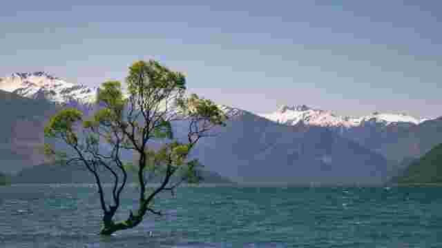 Lake Wānaka