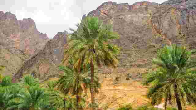 Wadi Bani Awf