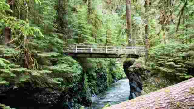Olympic National Park