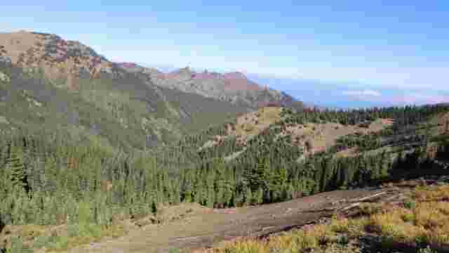 Hurricane Ridge, Olympic National Park