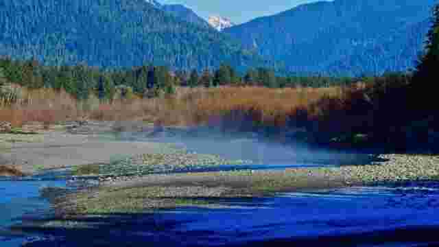 Quinault Valley