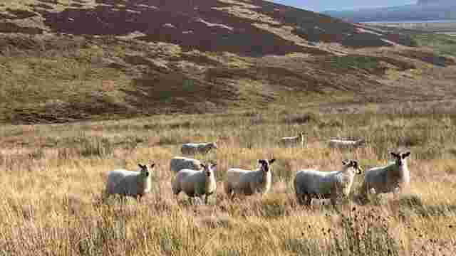 Tomintoul, Scotland