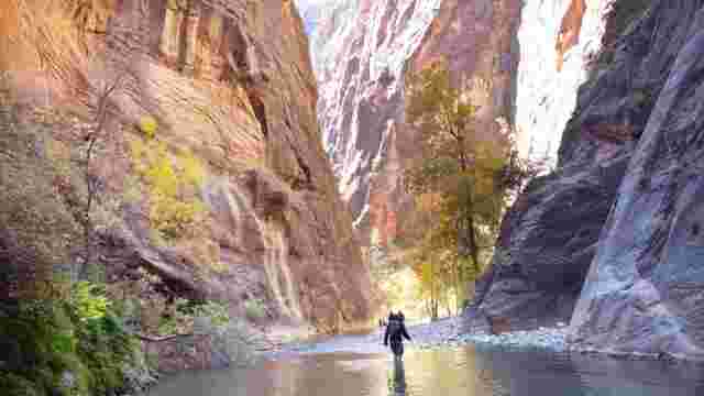 Virgin River Narrows, Zion National Park