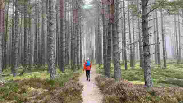 Abernethy National Nature Reserve